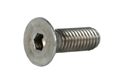 Door Hinge Screw