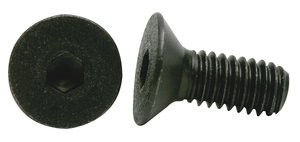 Braun Corporation - Braun Lift Screw - 10 Pack