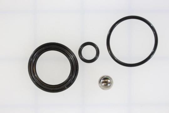 Braun Corporation - Back Up Pump Seal Kit, Monarch