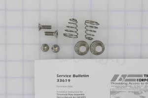 Braun Corporation - Threshold Spring Kit