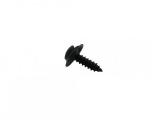 Black Phosphate Metal Screw